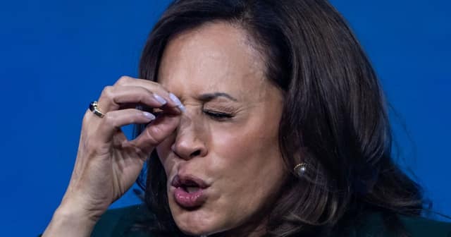 Kamala Is Back – and More Radical Than Ever 